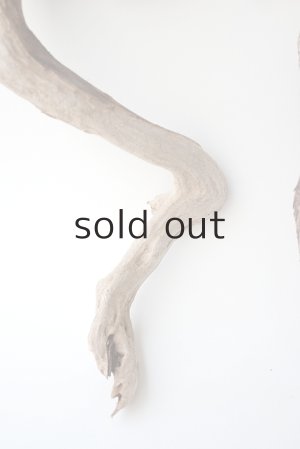 画像2: 流木根セット