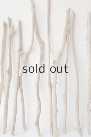 画像3: 小枝流木セット