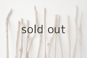 画像6: 小枝流木セット