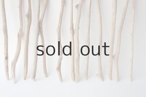 画像5: 小枝流木セット