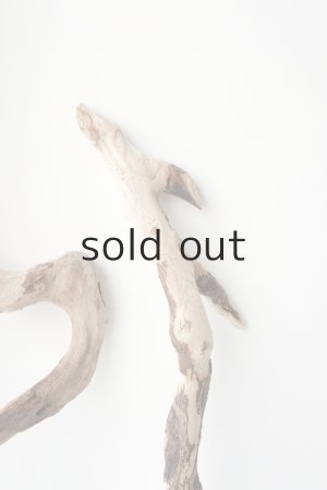 画像6: 流木根セット