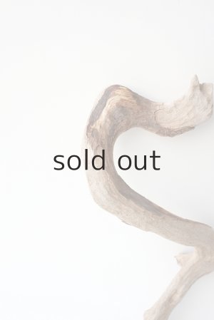 画像3: 流木根セット