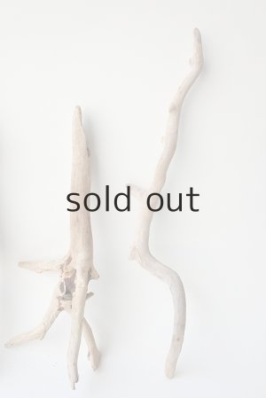 画像4: 流木根セット