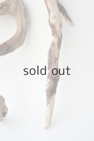 画像7: 流木根セット