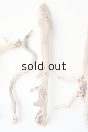 画像3: 流木根セット