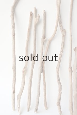 画像2: 小枝流木セット