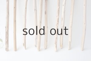 画像2: 棒流木セット