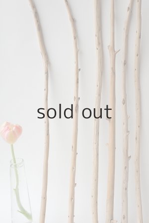 画像5: 棒流木セット