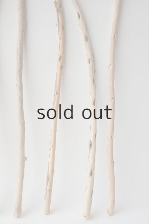 画像6: 棒流木セット