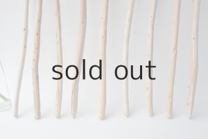 画像2: 棒流木セット