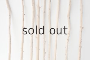 画像3: 棒流木セット