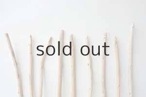 画像4: 棒流木セット