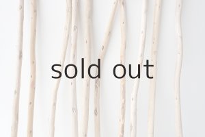 画像3: 棒流木セット