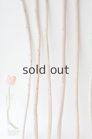 画像5: 棒流木セット