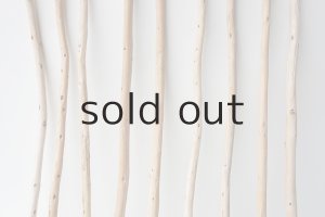 画像3: 棒流木セット