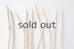 画像4: 棒流木セット