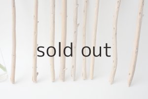 画像2: 棒流木セット