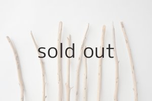 画像4: 棒流木セット