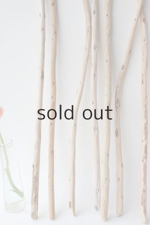 画像6: 棒流木セット