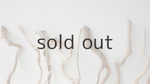 画像6: 流木根セット