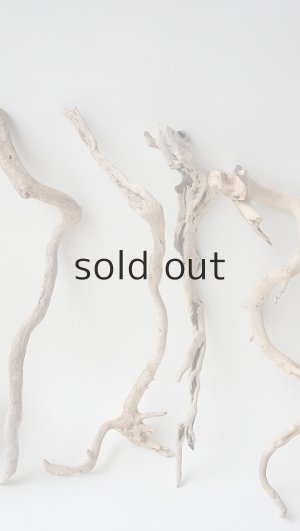 画像2: 流木根セット