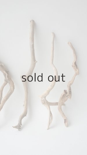 画像4: 流木根セット