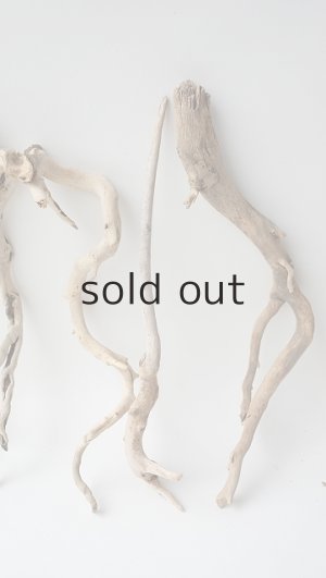 画像3: 流木根セット