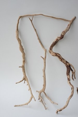 画像2: 流木根セット