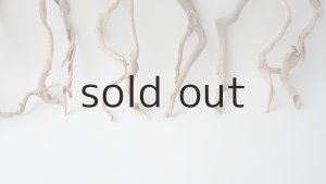 画像5: 流木根セット