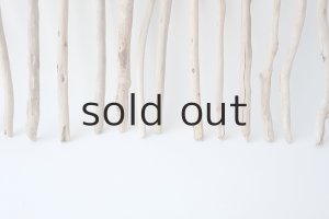 画像5: 小枝流木セット