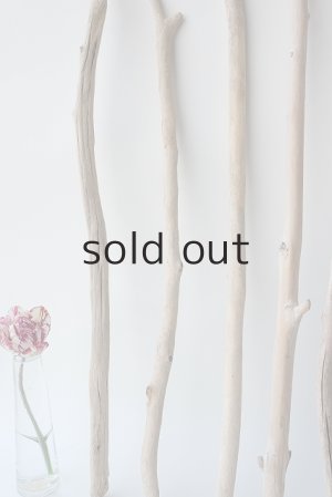 画像5: 小枝流木セット