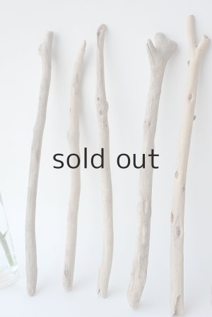 画像2: 小枝流木セット