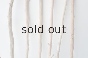 画像3: 小枝流木セット