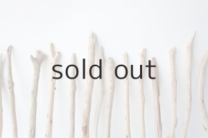 画像6: 小枝流木セット