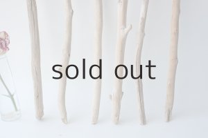 画像2: 小枝流木セット