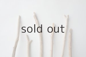 画像4: 小枝流木セット