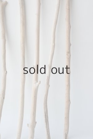 画像6: 小枝流木セット