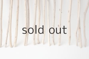 画像5: 棒流木セット