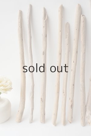 画像2: 棒流木セット