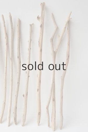 画像4: 棒流木セット