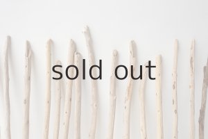 画像6: 棒流木セット