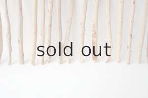 画像5: 棒流木セット