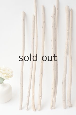 画像2: 棒流木セット