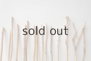 画像6: 棒流木セット