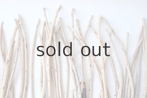 画像6: 棒流木・極細セット