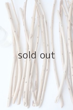 画像2: 棒流木・極細セット