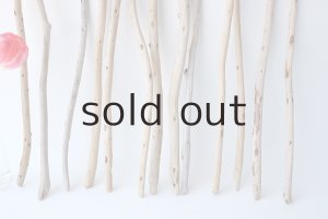 画像5: 棒流木セット