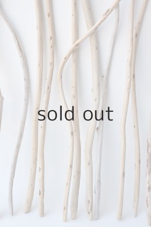 画像3: 棒流木セット