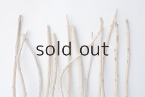 画像6: 棒流木セット