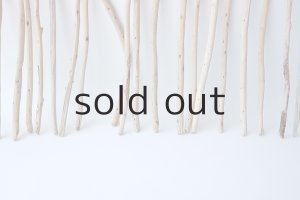 画像5: 棒流木セット